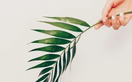 Accessing Inner Peace