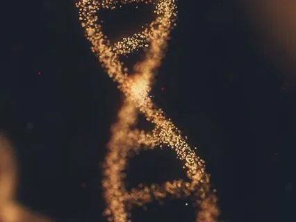 Accessing Potential Through Your Gene Expression