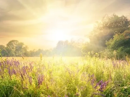 Accessing The Power Of Love Within You 