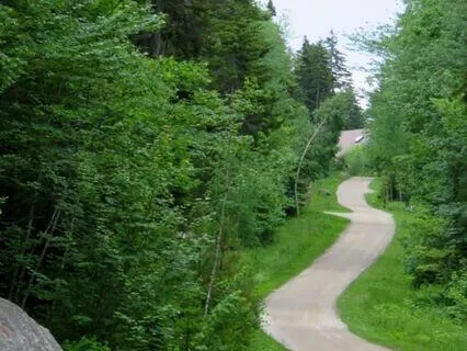 Accessing Your Intuition For Next Steps