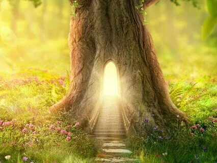 Accessing your Intuition