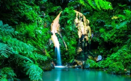 Accessing Your Oasis