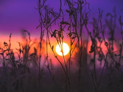 Accessing Your Three Consciousnesses