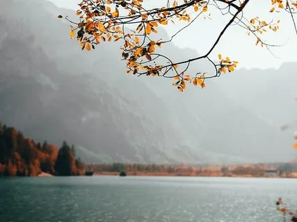 Acceptació Física - Meditació en Català