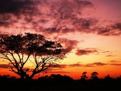 Achieve Balance And Harmony With 1111Hz