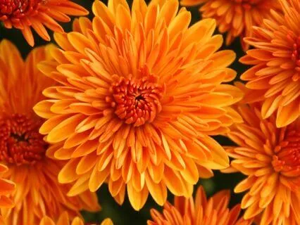 Achieve Clarity: Focus Your Mind With Ease 432 Hz