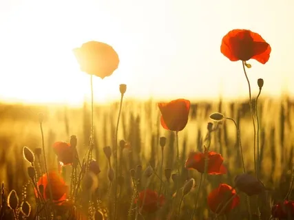 Achieve Success With This Simple Meditation & Visualisation