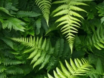 Achieving Goals - Power Punch