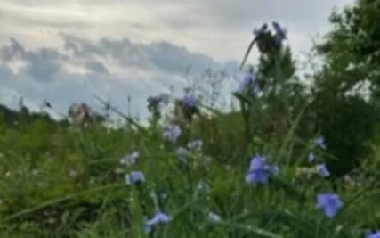 ACIM Workbook Lesson 12 Meditation 