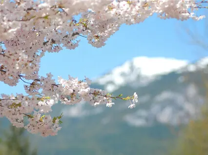 Acknowledge Emotional Pain And Embrace Your Transformation