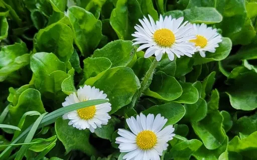 Acknowledge Your Intuition