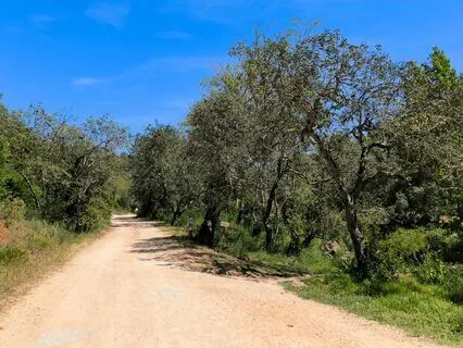 Acknowledging, Accepting & Letting Go Of Thoughts