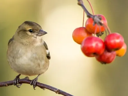 Acknowledging & Accepting Change