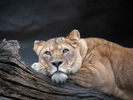 Acknowledging My Growth Regarding Anger