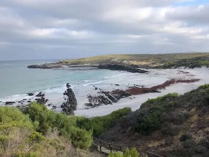 Acknowledging Sadness Together With Beauty In Life