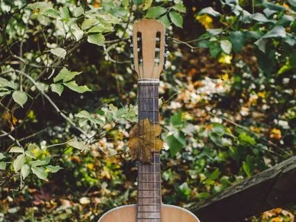 Acoustic Guitar Manifestation