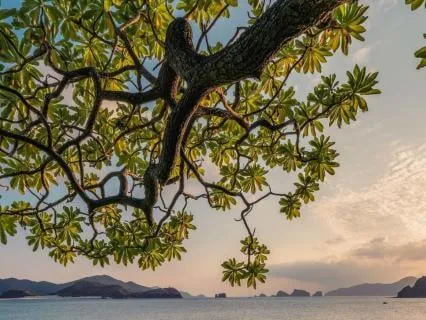 Acoustic Guitar Meditation With Nature Sounds For Peace