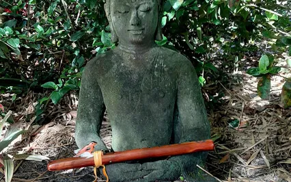 Acoustic Medicine - Nature Sounds 