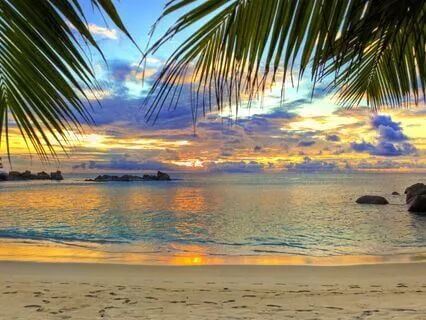 [Acoustic] "Reminisce" - Elyshia ft. Tudor Alexander