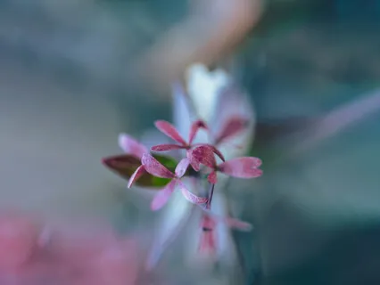 Across The River Piano Nature Harmony