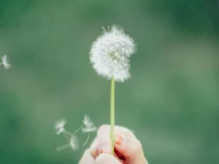 Act Fully, Live Freely: Non-Attachment To Fruits Of Action