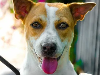 Act Like A Grownup: Handle Worries