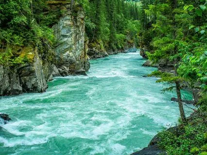 ACT Therapy For ADHD