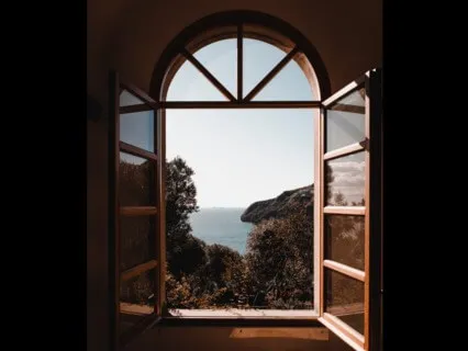 Action To Rid Of Defects