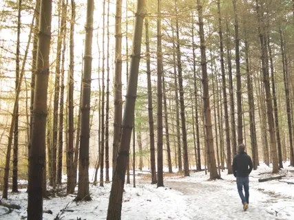 Actions (5 Love Languages)