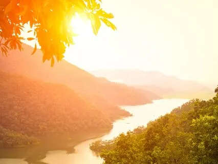 Activate 432 + 777 + 888 Hz Tuning Forks (Alpha, Pink Noise)