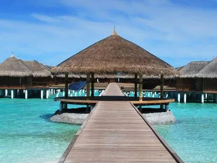 Activate Abundance | Draw Wealth And Luck Into Your Life