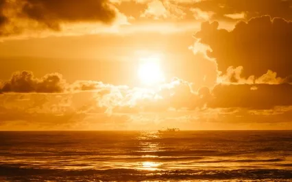 Activate, Align, And Balance Your Sacral Chakra