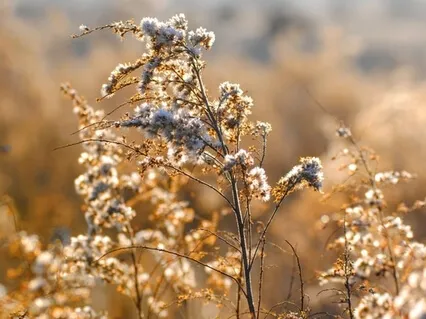 Activate & Maintain Your Intuition