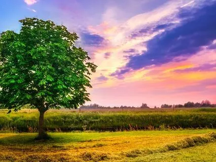 Activate Good Fortune! 432 + 777 + 888 Hz Tuning Forks