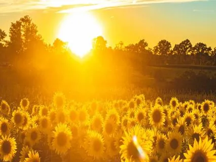 Activate Greater Empowerment