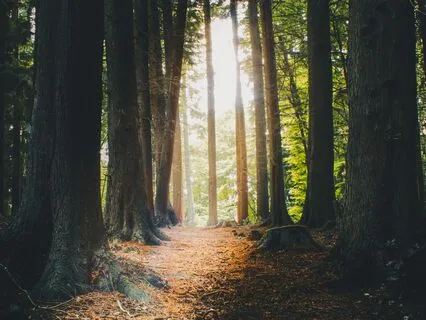 Activate Mental Clarity With Affirmations