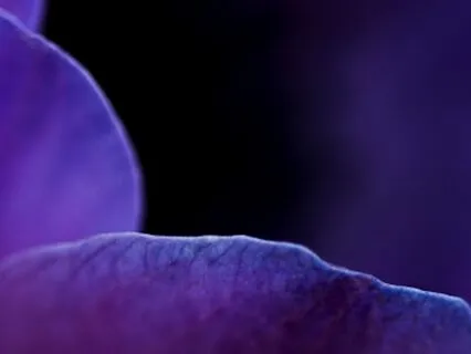 Activate Pineal Gland With Schumann Resonance & Singing Bowl