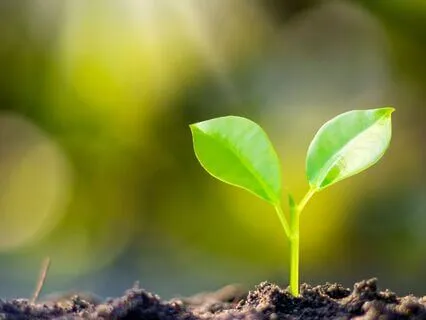 Activate Self-Healing & Calm Your Mind