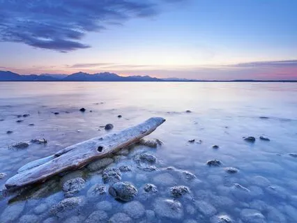 Activate The Cerebral Cortex System