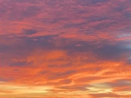 Activate The Dragon Within