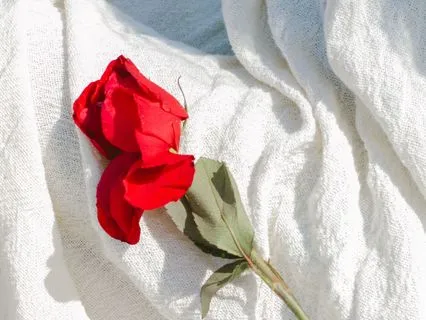 Activate The Sacred Rose Within