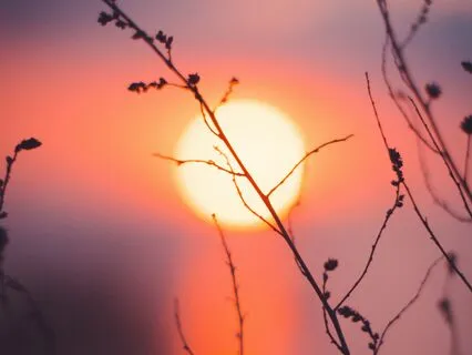 Activate Your Creative Energy