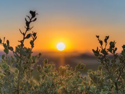 Activate Your Entire Brain! 369 + 432 Tuning Forks (Gamma)