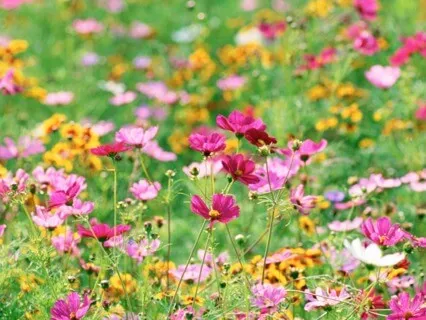 Activate Your Feminine Energy