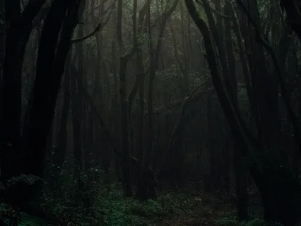 Activate Your Higher Mind And Deep Sleep