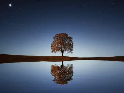 Activate Your Inner Garden Life Force (Vs 1: Nature)