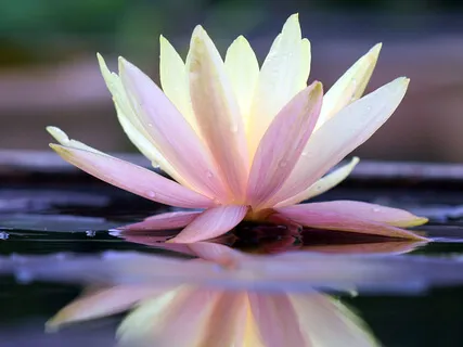 Activate Your Inner Potential 