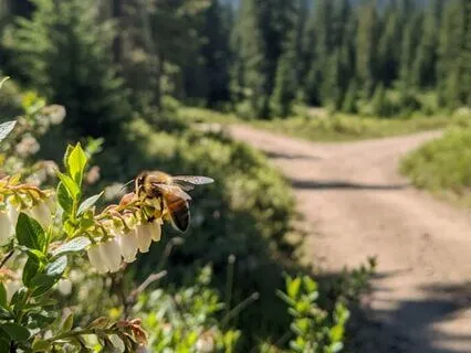 Activate Your Intuition To Work 50% Less