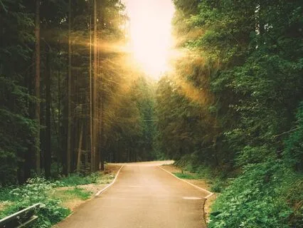 Activate Your Life Purpose