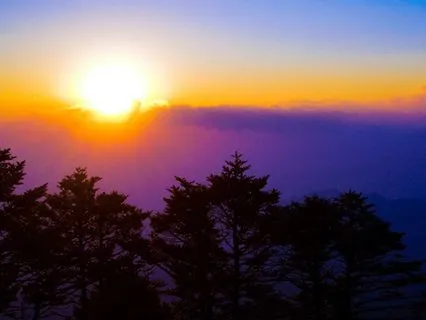 Activate Your Morning